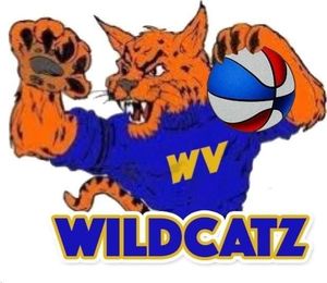 Wildcatz logo with a cat holding a basketball.