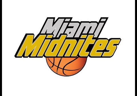 A logo of the miami midnites