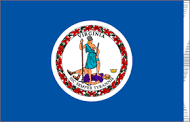 A blue flag with the state seal of virginia on it.