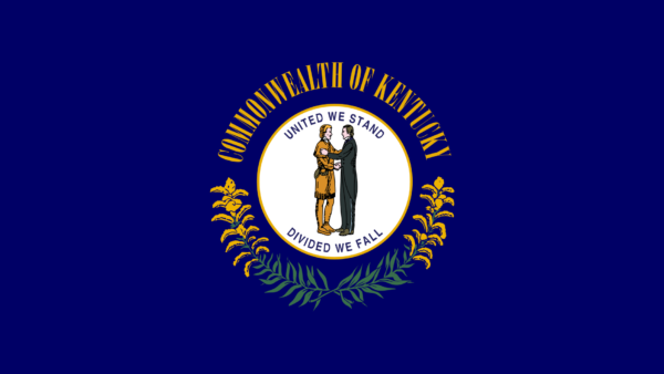 A picture of the flag of kentucky.