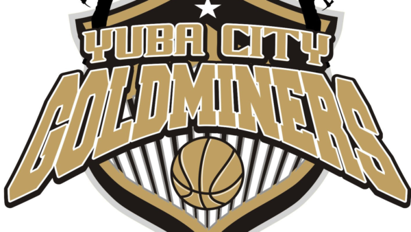 Yuba city goldminers logo.