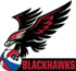 A black hawk flying over a ball with the word blackhawks underneath it.