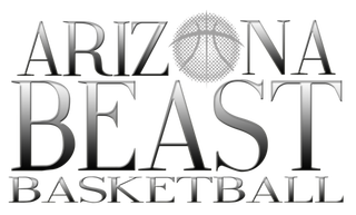 A black and white image of the words " arizon east basketball ".