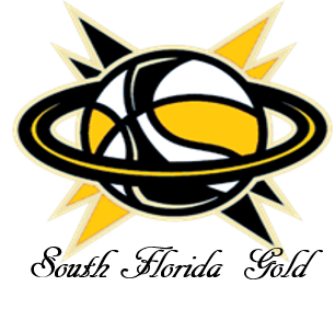 A black and yellow logo with a basketball in the center.