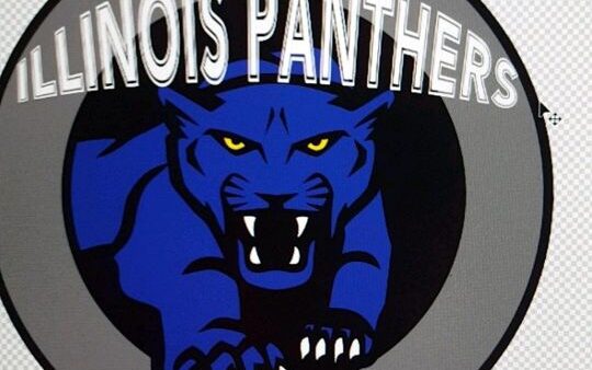 Illinois panthers logo on a computer screen.