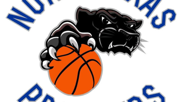 A basketball and a panther logo on top of the words north texas prowlers.