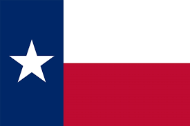 A texas flag with a star in the middle.