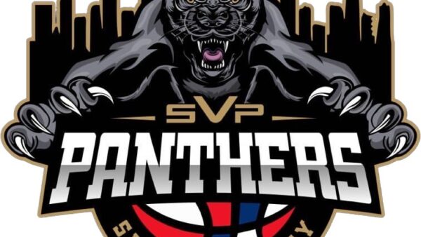 A logo of the silicon valley panthers.