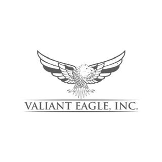 Valiant Eagle Inc. logo with an eagle.